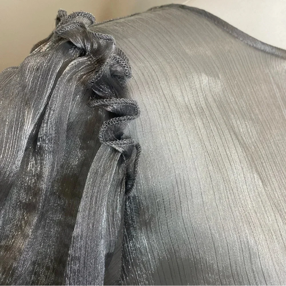 NWT Free People Freya Frost Top Metallic Silver Gray Sheer Long Sleeve Ribbon SP